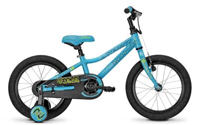 Focus_Raven-Rookie-16 Focus_Raven-Rookie-16